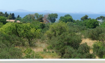 Kuća Edo , Apartman 2+2 c, Murter