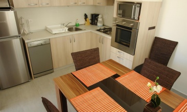 Vila Predrag, Apartman 4+1 b, Betina