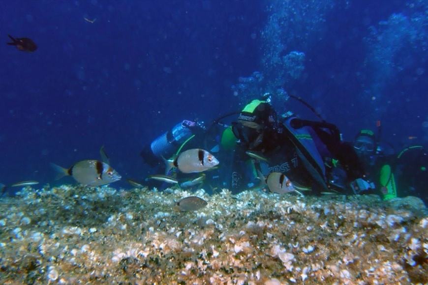Ronilački centar Nautilus Betina