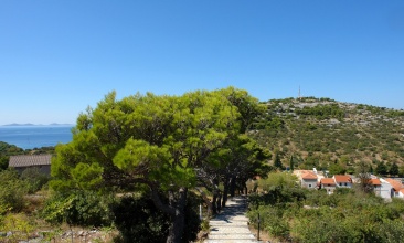 Prilazne stepenice do vidikovca i crkvice Sv. Roko